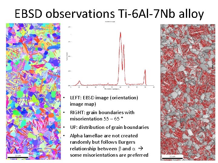 EBSD observations Ti-6 Al-7 Nb alloy • LEFT: EBSD image (orientation) image map) •