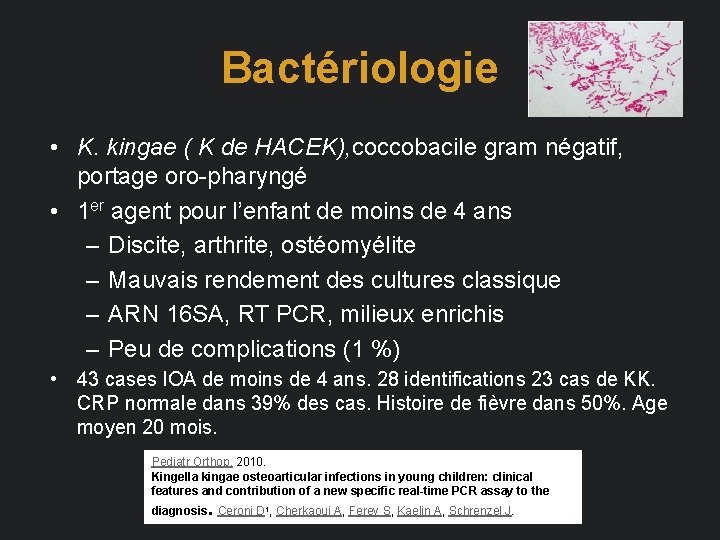 Bactériologie • K. kingae ( K de HACEK), coccobacile gram négatif, portage oro-pharyngé •