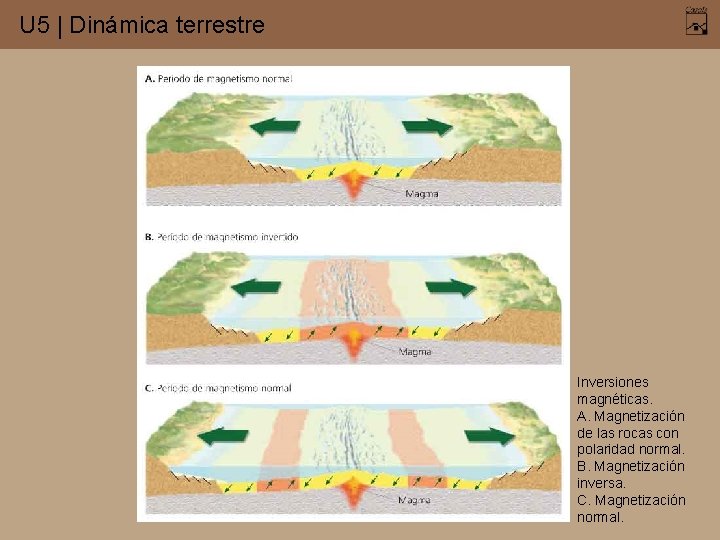 U 5 | Dinámica terrestre Inversiones magnéticas. A. Magnetización de las rocas con polaridad