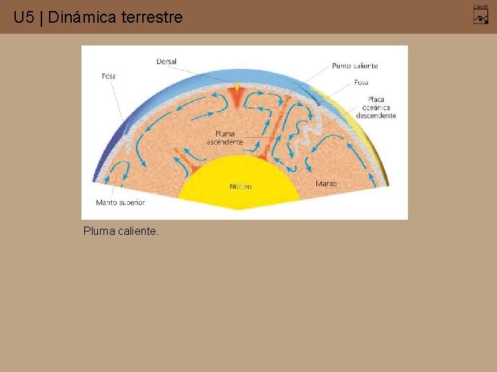 U 5 | Dinámica terrestre Pluma caliente. 