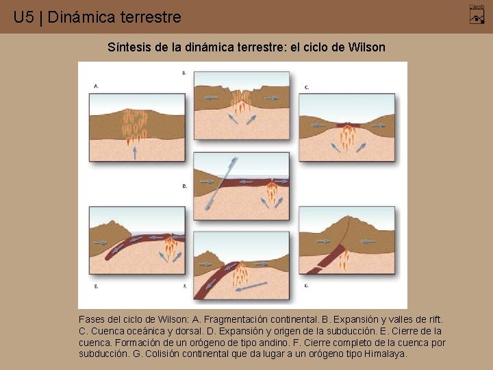 U 5 | Dinámica terrestre Síntesis de la dinámica terrestre: el ciclo de Wilson