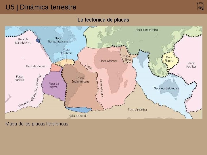 U 5 | Dinámica terrestre La tectónica de placas Mapa de las placas litosféricas.