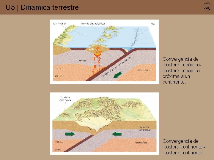 U 5 | Dinámica terrestre Convergencia de litosfera oceánica próxima a un continente. Convergencia