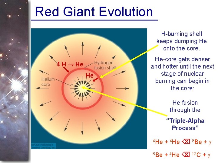 Red Giant Evolution H-burning shell keeps dumping He onto the core. 4 H →