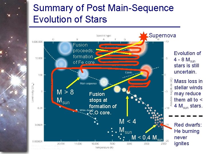 Summary of Post Main-Sequence Evolution of Stars Supernova Fusion proceeds; formation of Fe core.