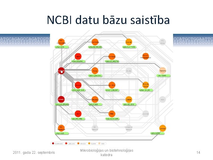 NCBI datu bāzu saistība 2011. gada 22. septembris Mikrobioloģijas un biotehnoloģijas katedra 14 