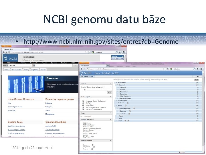 NCBI genomu datu bāze • http: //www. ncbi. nlm. nih. gov/sites/entrez? db=Genome 2011. gada