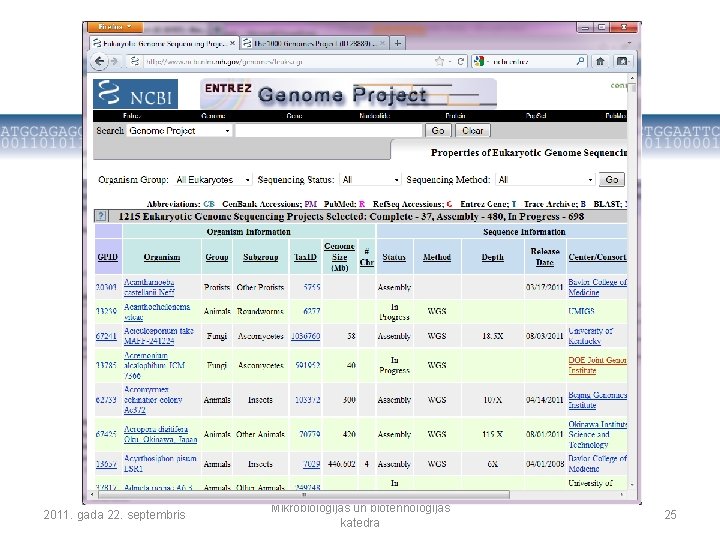2011. gada 22. septembris Mikrobioloģijas un biotehnoloģijas katedra 25 
