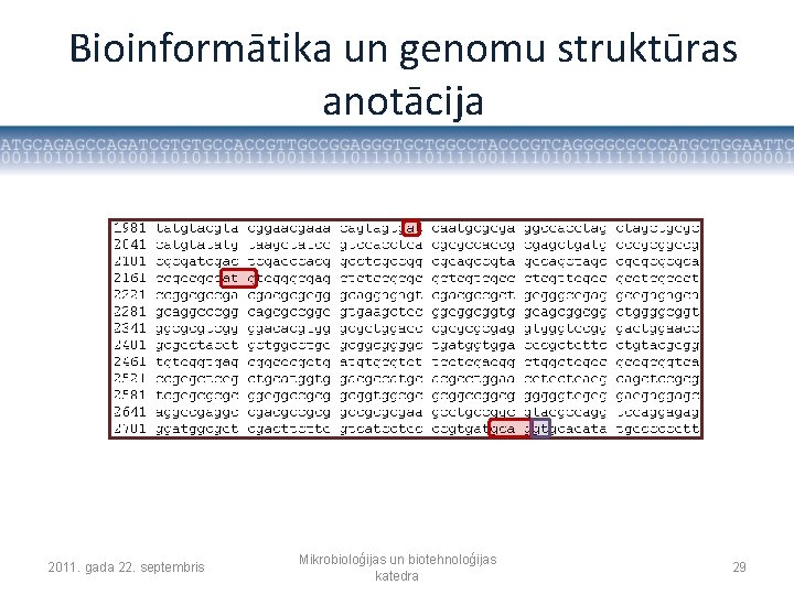 Bioinformātika un genomu struktūras anotācija 2011. gada 22. septembris Mikrobioloģijas un biotehnoloģijas katedra 29