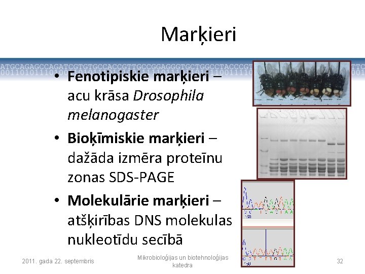 Marķieri • Fenotipiskie marķieri – acu krāsa Drosophila melanogaster • Bioķīmiskie marķieri – dažāda