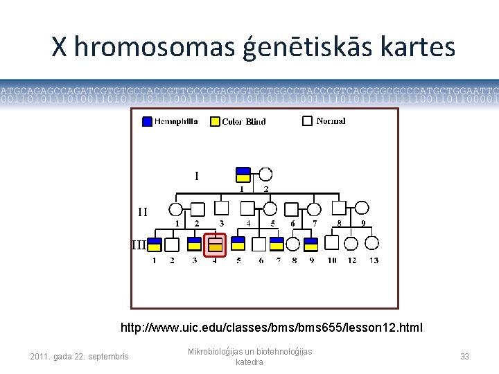 X hromosomas ģenētiskās kartes http: //www. uic. edu/classes/bms 655/lesson 12. html 2011. gada 22.