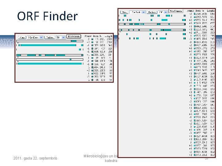 ORF Finder 2011. gada 22. septembris Mikrobioloģijas un biotehnoloģijas katedra 57 