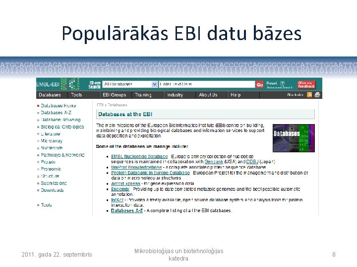 Populārākās EBI datu bāzes 2011. gada 22. septembris Mikrobioloģijas un biotehnoloģijas katedra 8 