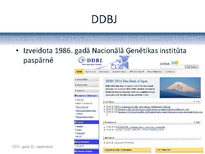 DDBJ • Izveidota 1986. gadā Nacionālā Ģenētikas institūta paspārnē 2011. gada 22. septembris Mikrobioloģijas