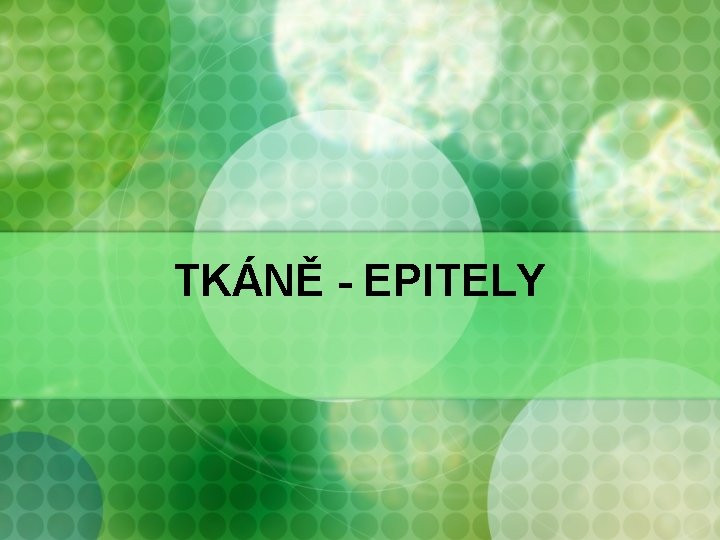 TKÁNĚ - EPITELY 