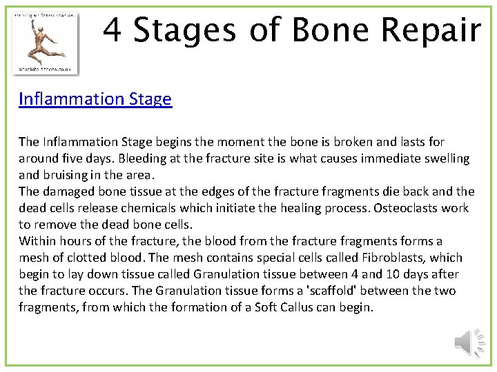 4 Stages of Bone Repair Inflammation Stage The Inflammation Stage begins the moment the