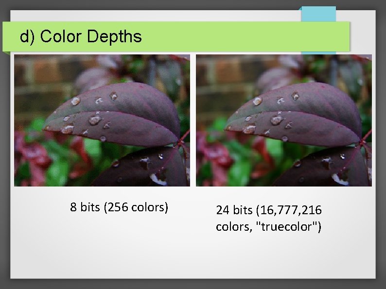 d) Color Depths 8 bits (256 colors) 24 bits (16, 777, 216 colors, "truecolor")