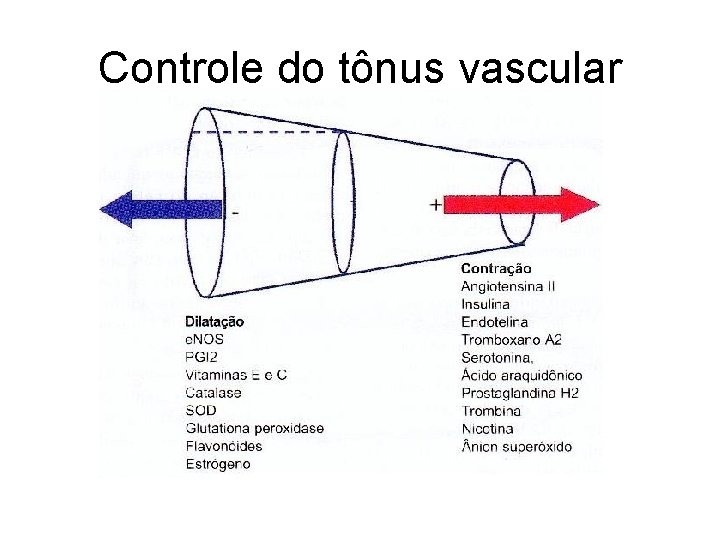 Controle do tônus vascular 