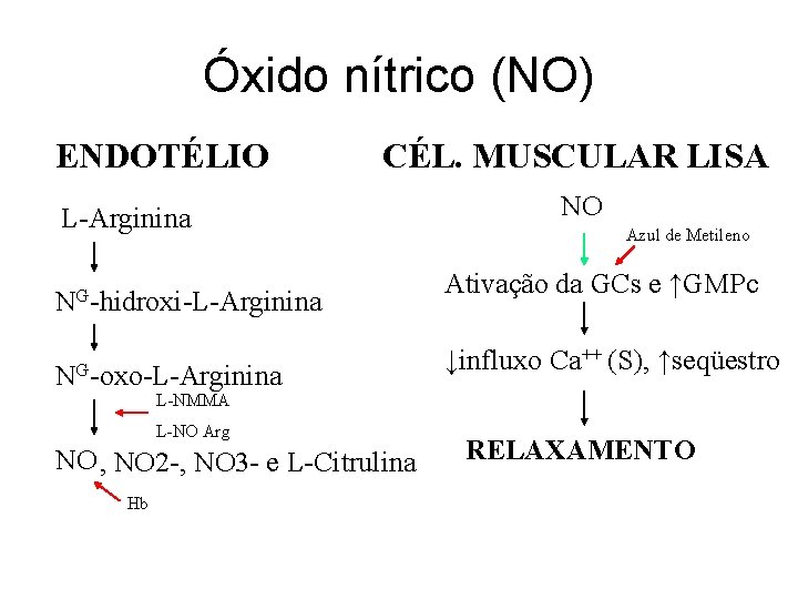 Óxido nítrico (NO) ENDOTÉLIO CÉL. MUSCULAR LISA L-Arginina NG-hidroxi-L-Arginina NG-oxo-L-Arginina NO Azul de Metileno