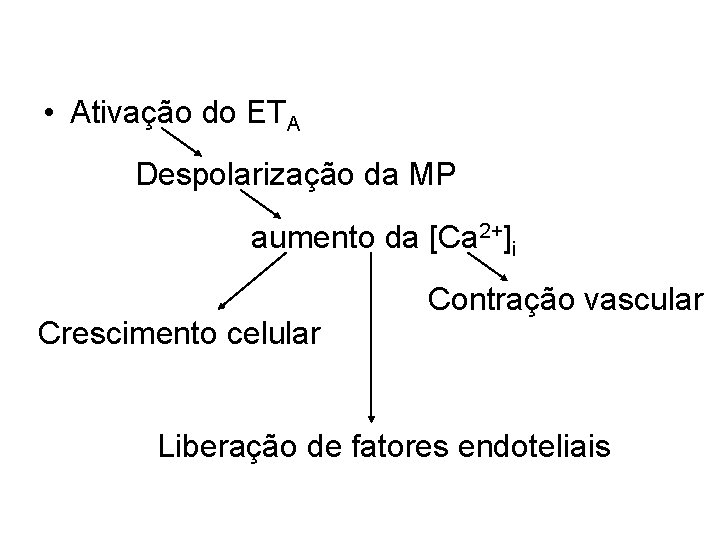  • Ativação do ETA Despolarização da MP aumento da [Ca 2+]i Crescimento celular