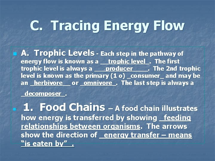 C. Tracing Energy Flow n A. Trophic Levels - Each step in the pathway