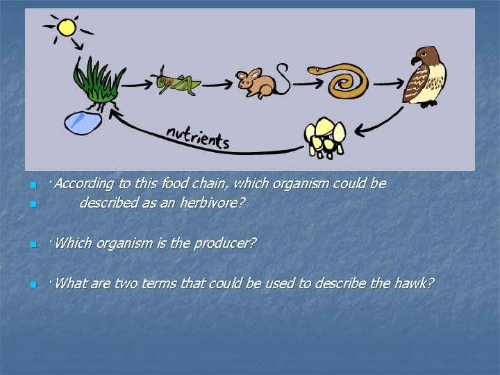 n ·Which organism acts as a secondary consumer? n ·According to this food chain,