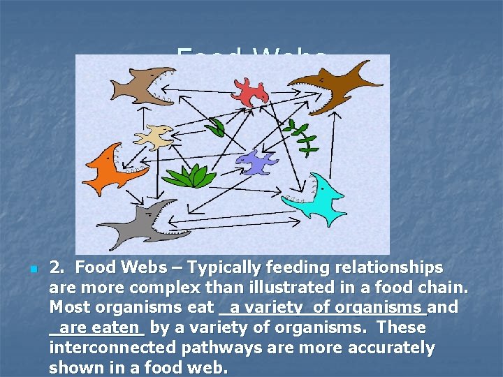 Food Webs n 2. Food Webs – Typically feeding relationships are more complex than
