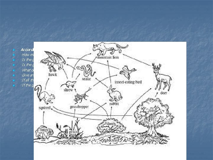 n n n n According to this food web. . . ·How many different