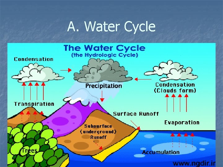 A. Water Cycle 