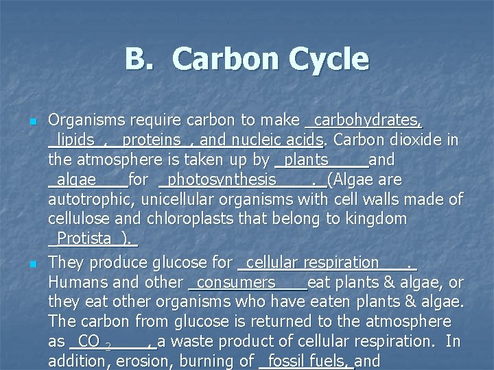 B. Carbon Cycle n n Organisms require carbon to make _carbohydrates, _lipids_, _proteins_, and