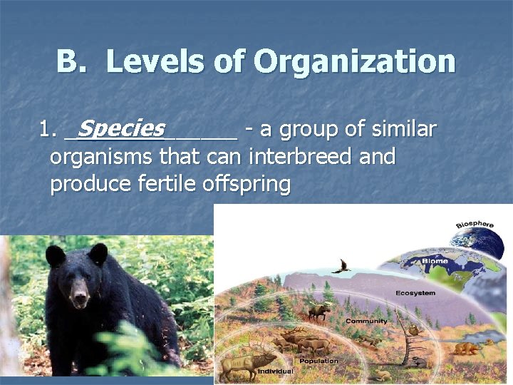 B. Levels of Organization 1. _Species______ - a group of similar organisms that can