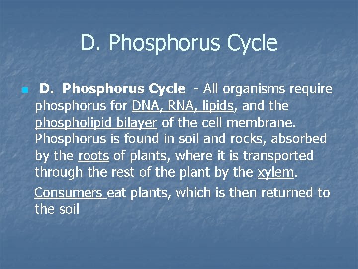 D. Phosphorus Cycle n D. Phosphorus Cycle - All organisms require phosphorus for DNA,