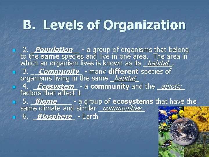 B. Levels of Organization n n 2. _Population__ - a group of organisms that