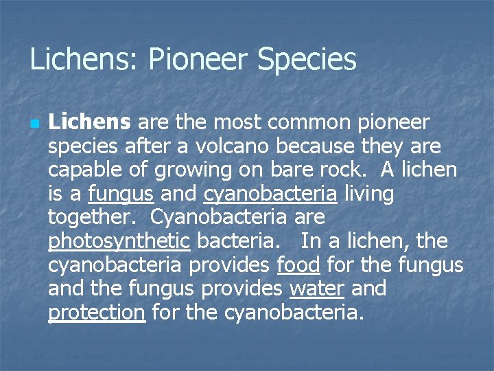 Lichens: Pioneer Species n Lichens are the most common pioneer species after a volcano
