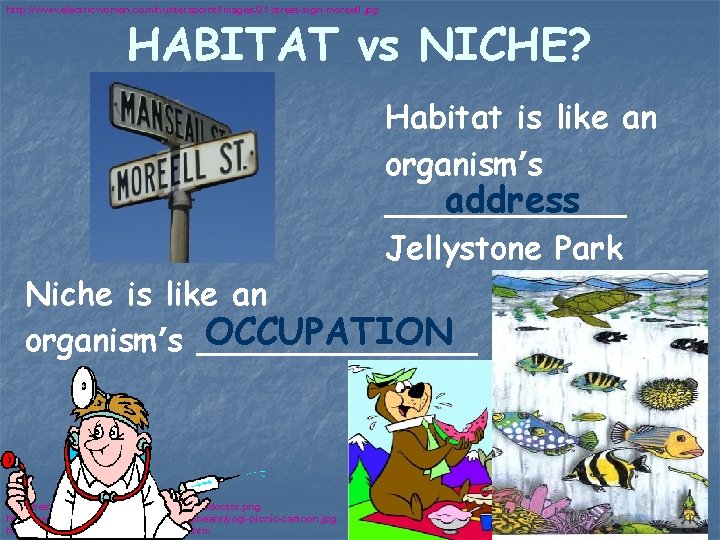 http: //www. electricwomen. com/hunterspoint/images/21 -street-sign-moreell. jpg HABITAT vs NICHE? Habitat is like an organism’s