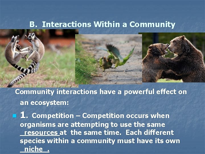 B. Interactions Within a Community interactions have a powerful effect on an ecosystem: n