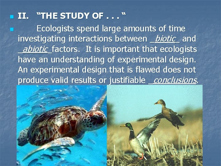 n n II. “THE STUDY OF. . . “ Ecologists spend large amounts of