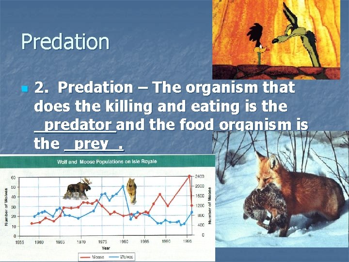 Predation n 2. Predation – The organism that does the killing and eating is