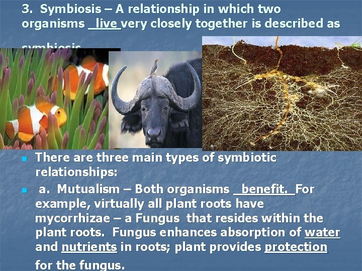 3. Symbiosis – A relationship in which two organisms _live very closely together is