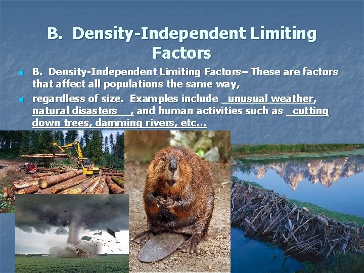 B. Density-Independent Limiting Factors n n B. Density-Independent Limiting Factors– These are factors that