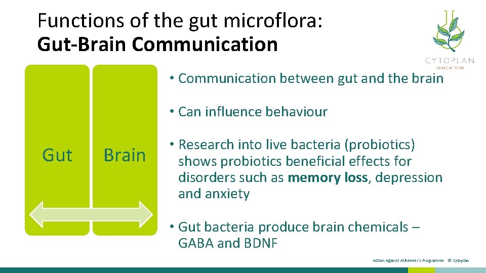 Functions of the gut microflora: Gut-Brain Communication • Communication between gut and the brain