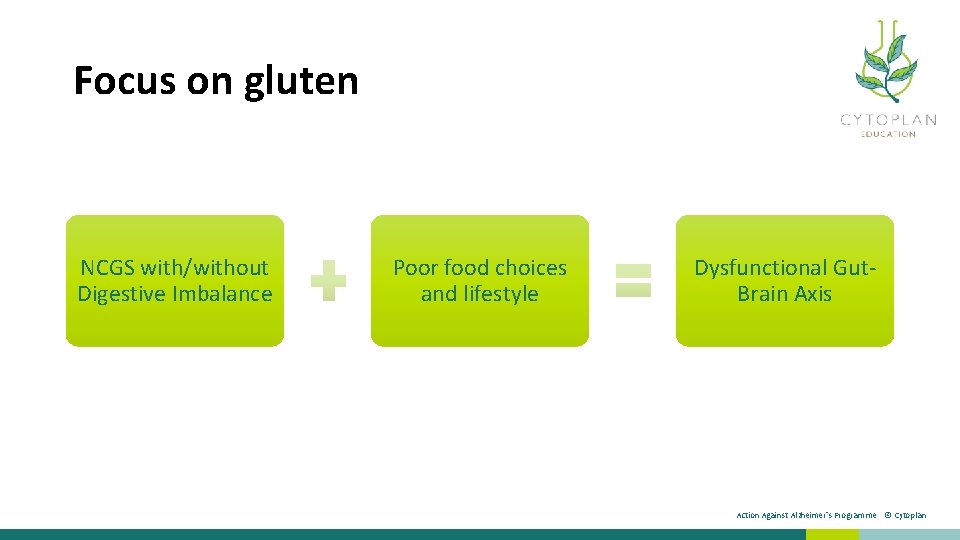 Focus on gluten NCGS with/without Digestive Imbalance Poor food choices and lifestyle Dysfunctional Gut.