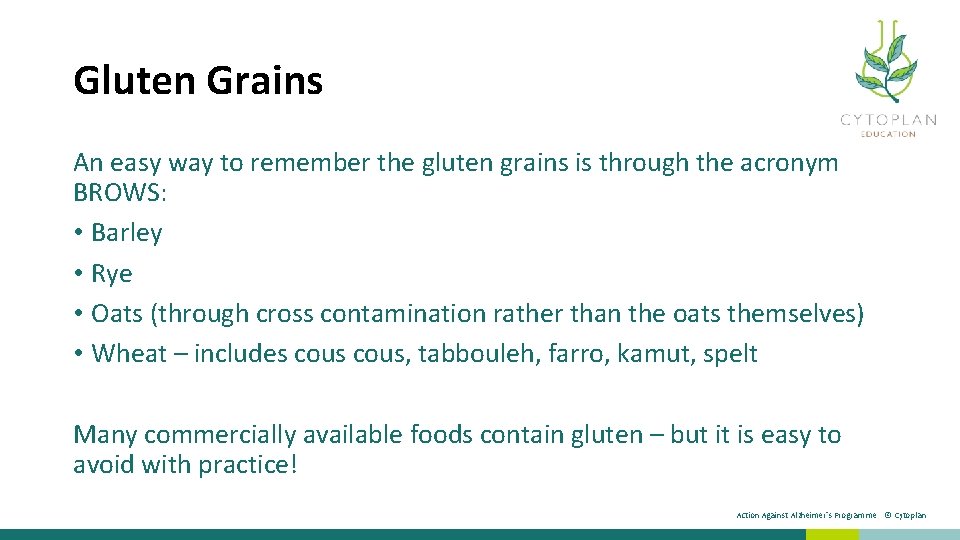 Gluten Grains An easy way to remember the gluten grains is through the acronym
