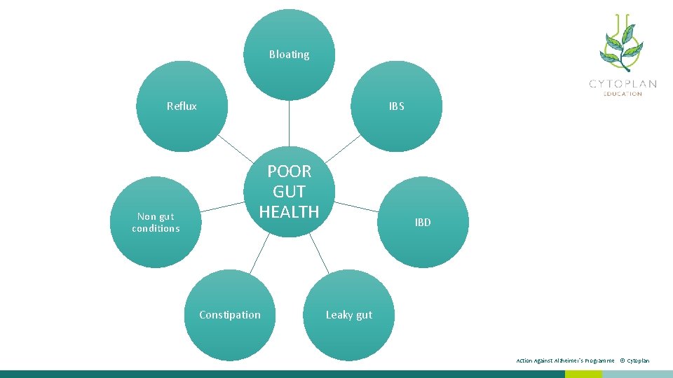 Bloating Reflux Non gut conditions IBS POOR GUT HEALTH Constipation IBD Leaky gut Action