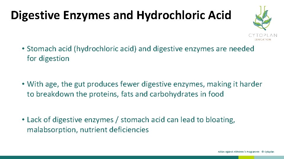 Digestive Enzymes and Hydrochloric Acid • Stomach acid (hydrochloric acid) and digestive enzymes are