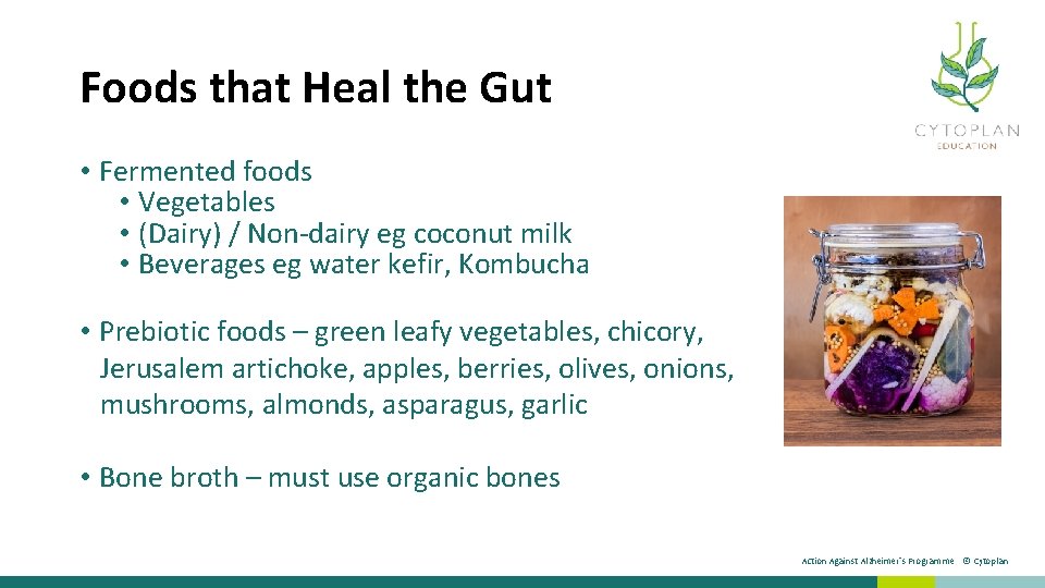 Foods that Heal the Gut • Fermented foods • Vegetables • (Dairy) / Non-dairy