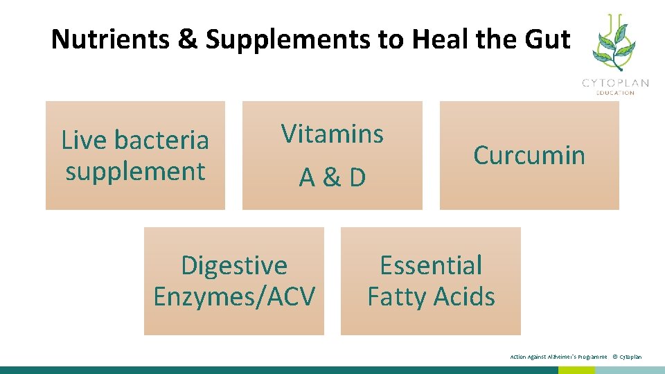 Nutrients & Supplements to Heal the Gut Live bacteria supplement Vitamins A&D Digestive Enzymes/ACV