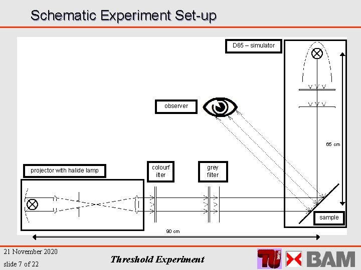 Schematic Experiment Set-up D 65 – simulator observer 65 cm projector with halide lamp