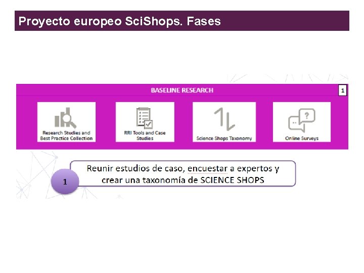 Proyecto europeo Sci. Shops. Fases Enhancing the Responsible and Sustainable Expansion of the Science