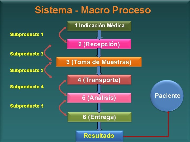 Sistema - Macro Proceso 1 Indicación Médica Subproducto 1 2 (Recepción) Subproducto 2 3